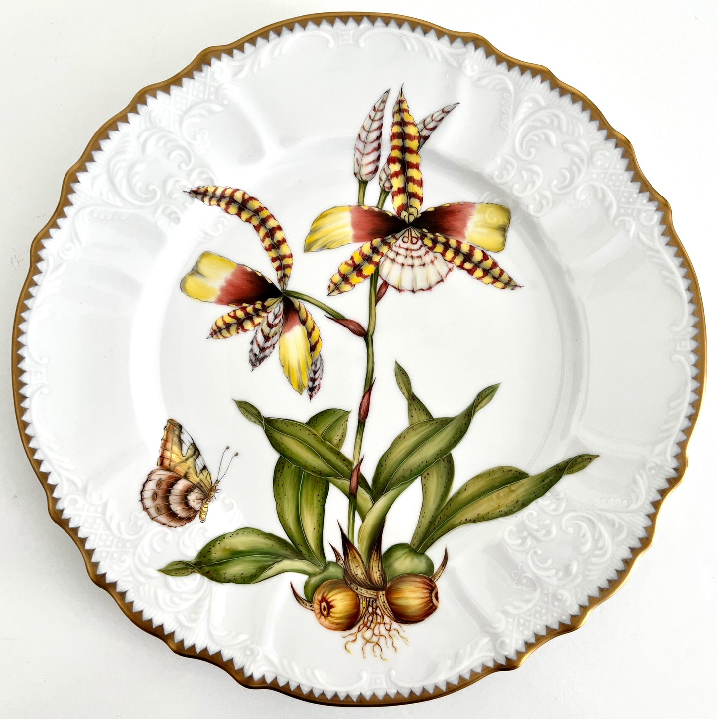 OR4 - Dinner Plate