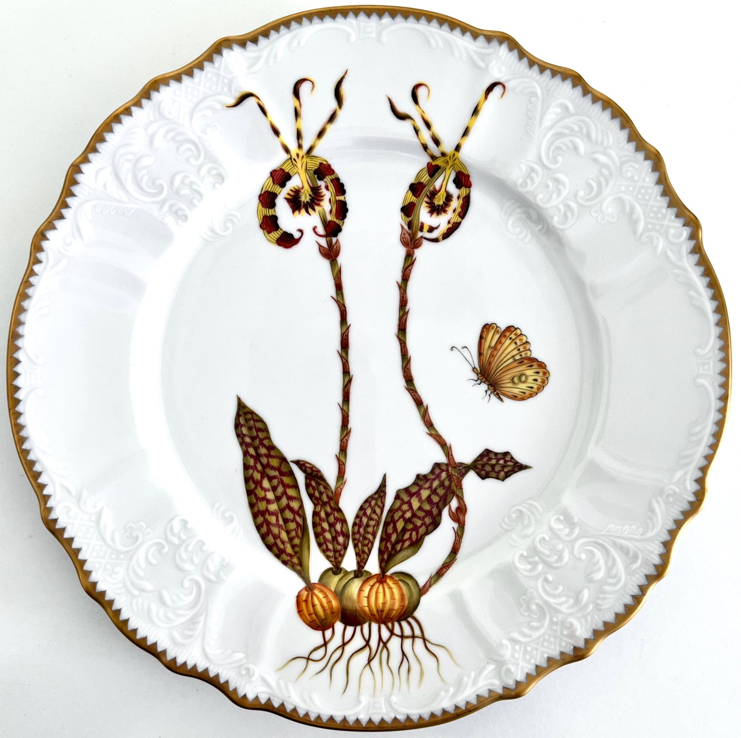 OR1 - Dinner Plate