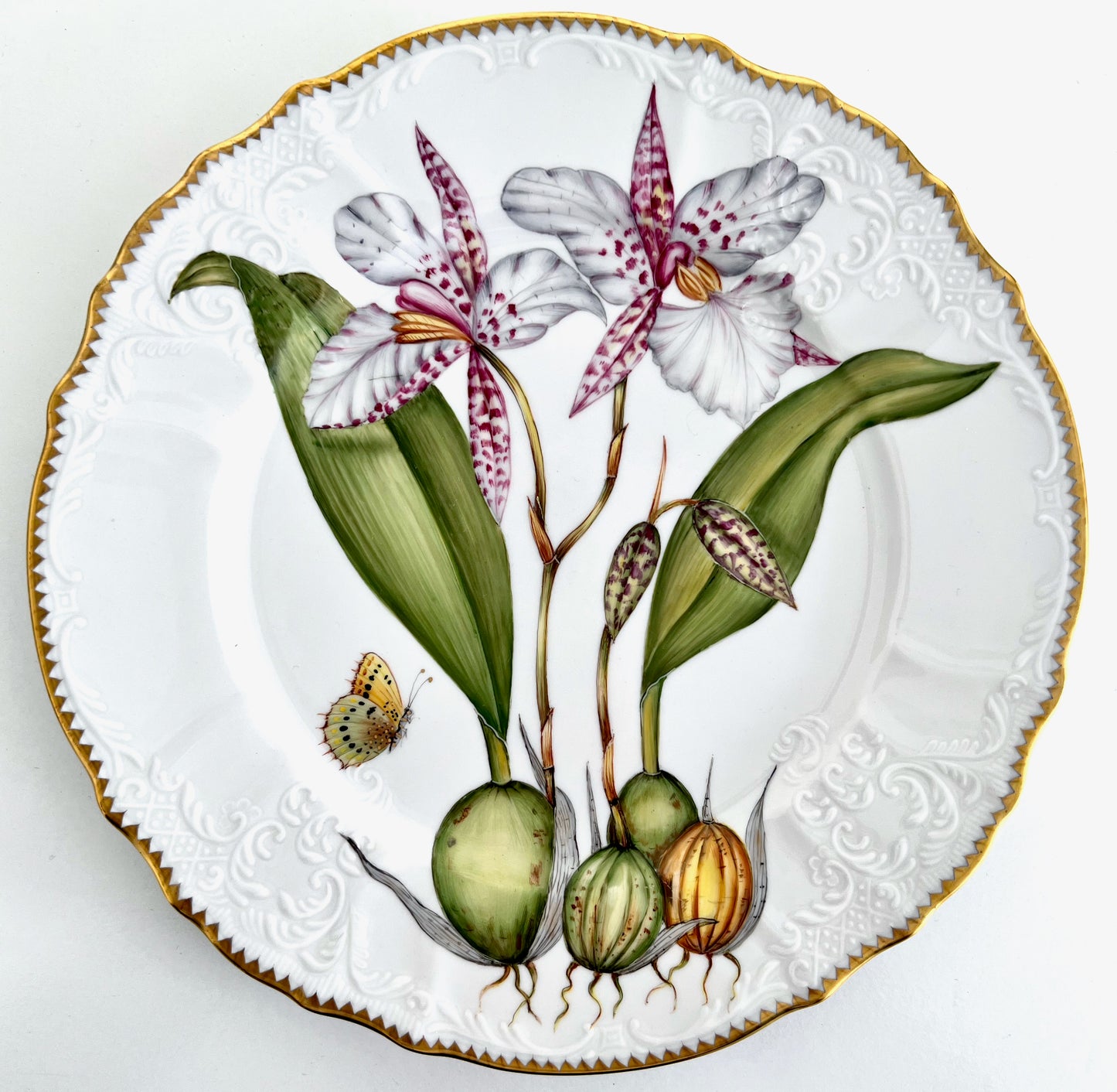 OR2 - Dinner Plate