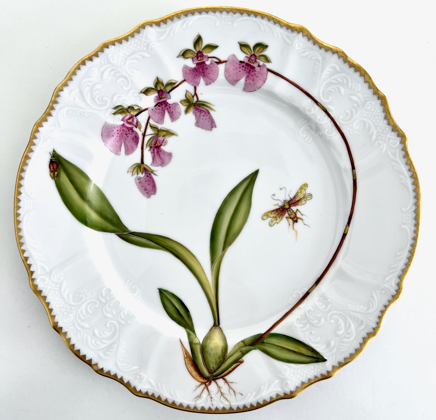 OR6 - Dinner Plate