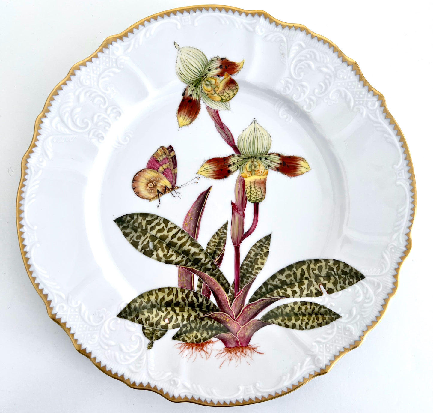 OR5 - Dinner Plate
