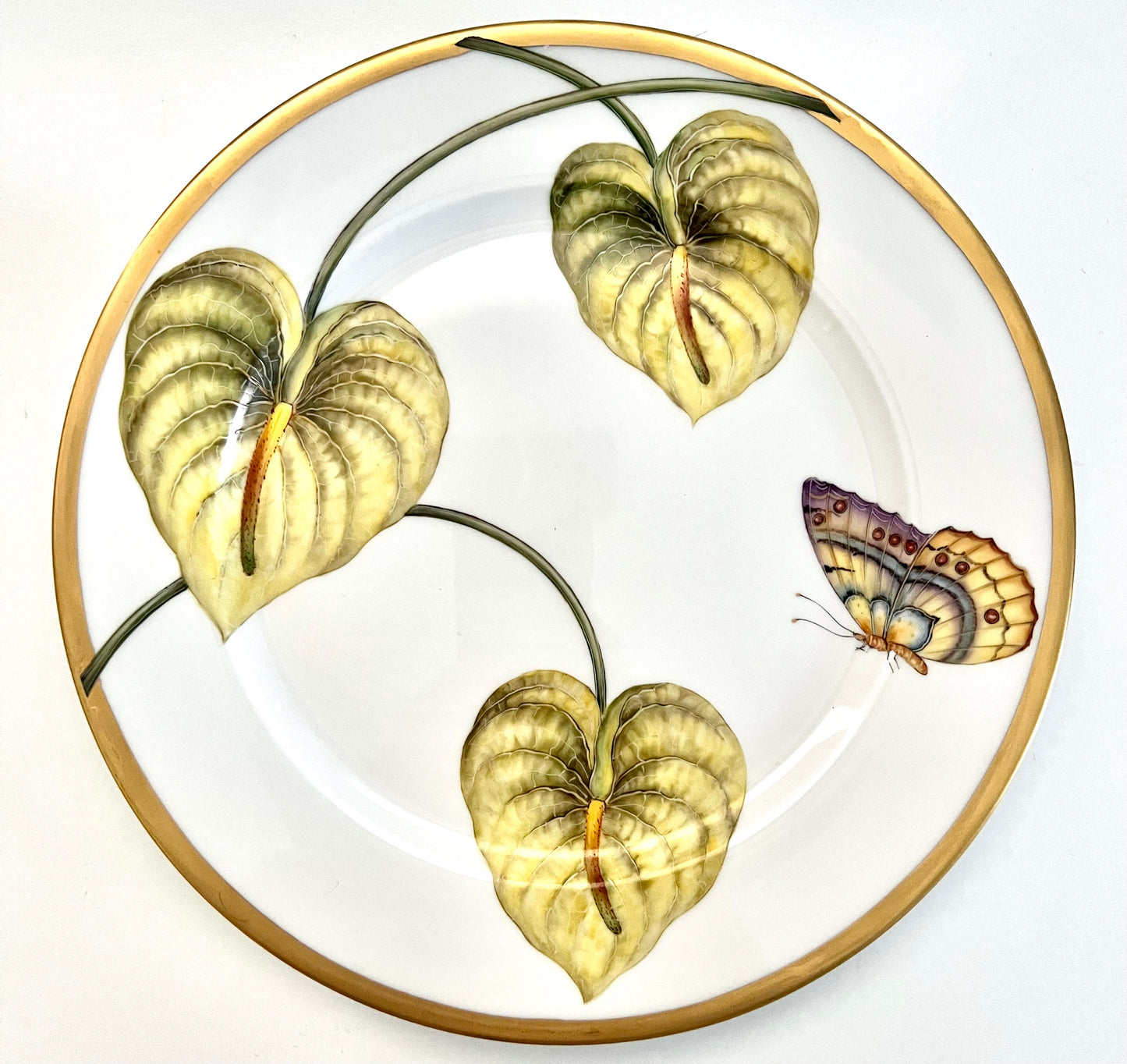 GP1 - Dinner Plate