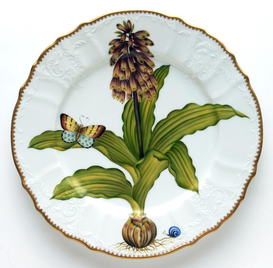 AW37 - Dinner Plate