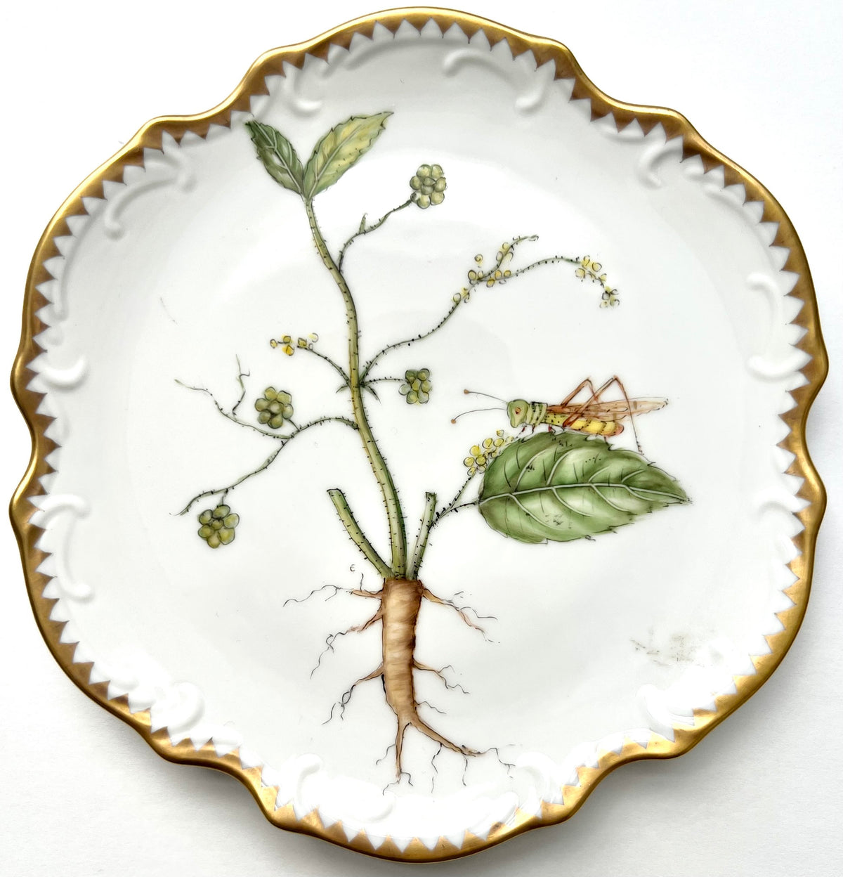 RT44 - Appetizer/Bread & Butter Plate