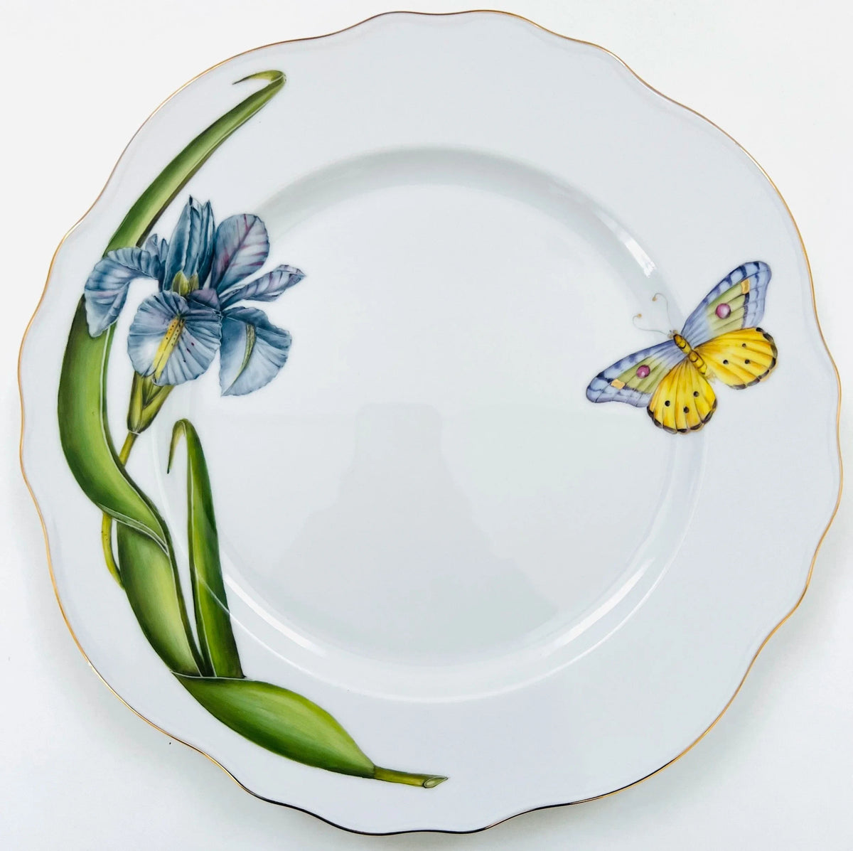 ME22 - Scalloped Dinner Plate