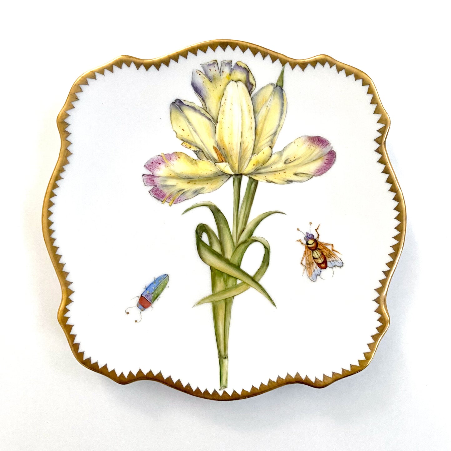 YT1 - Dessert/Bread&Butter/Appetizer Plate