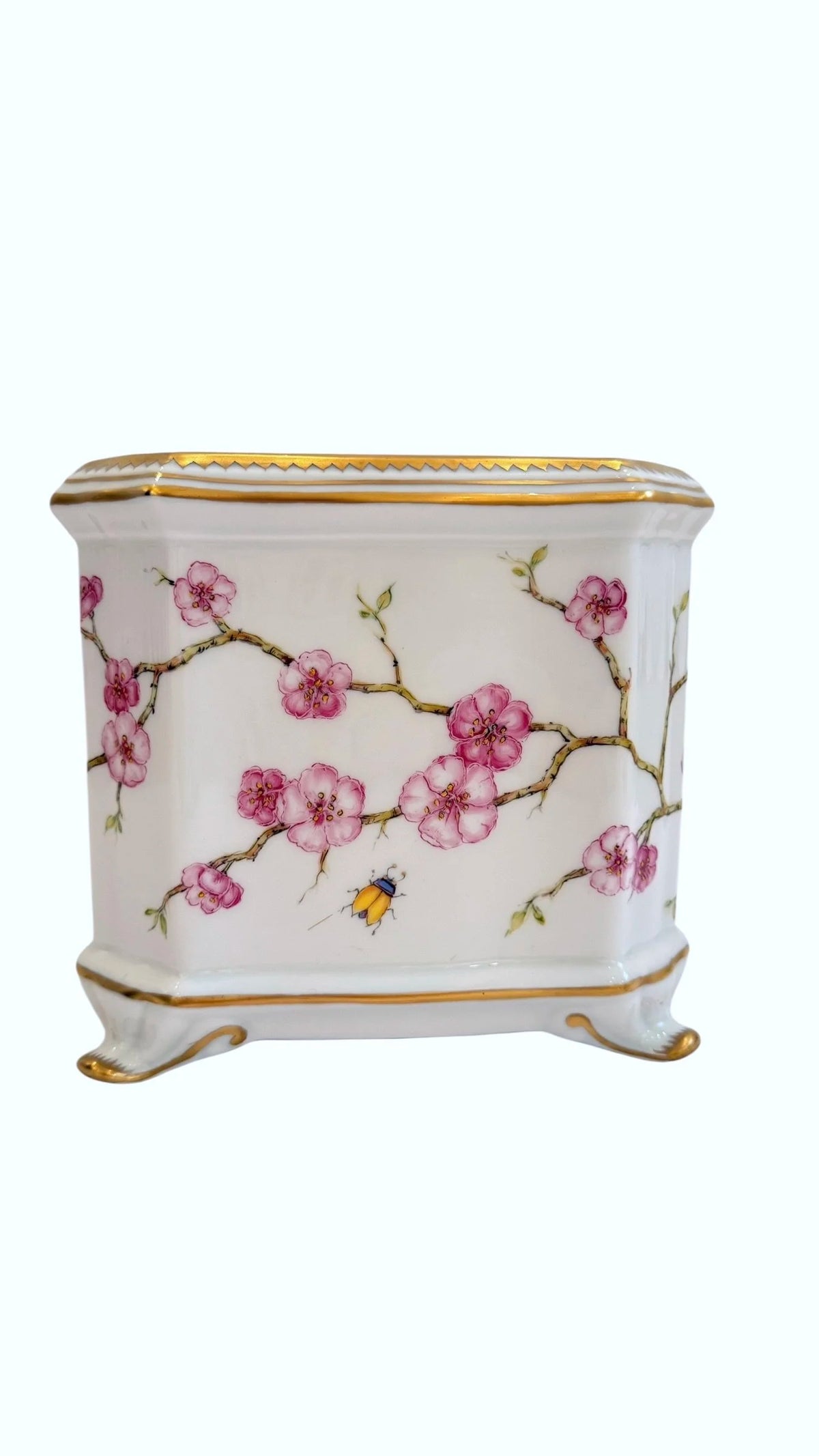 CBS66 - Cherry Blossom Cachepot/Planter