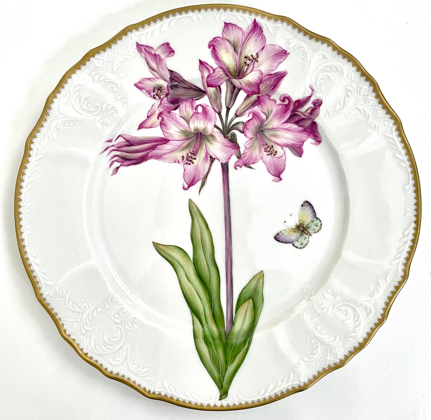 SC1 - Dinner Plate