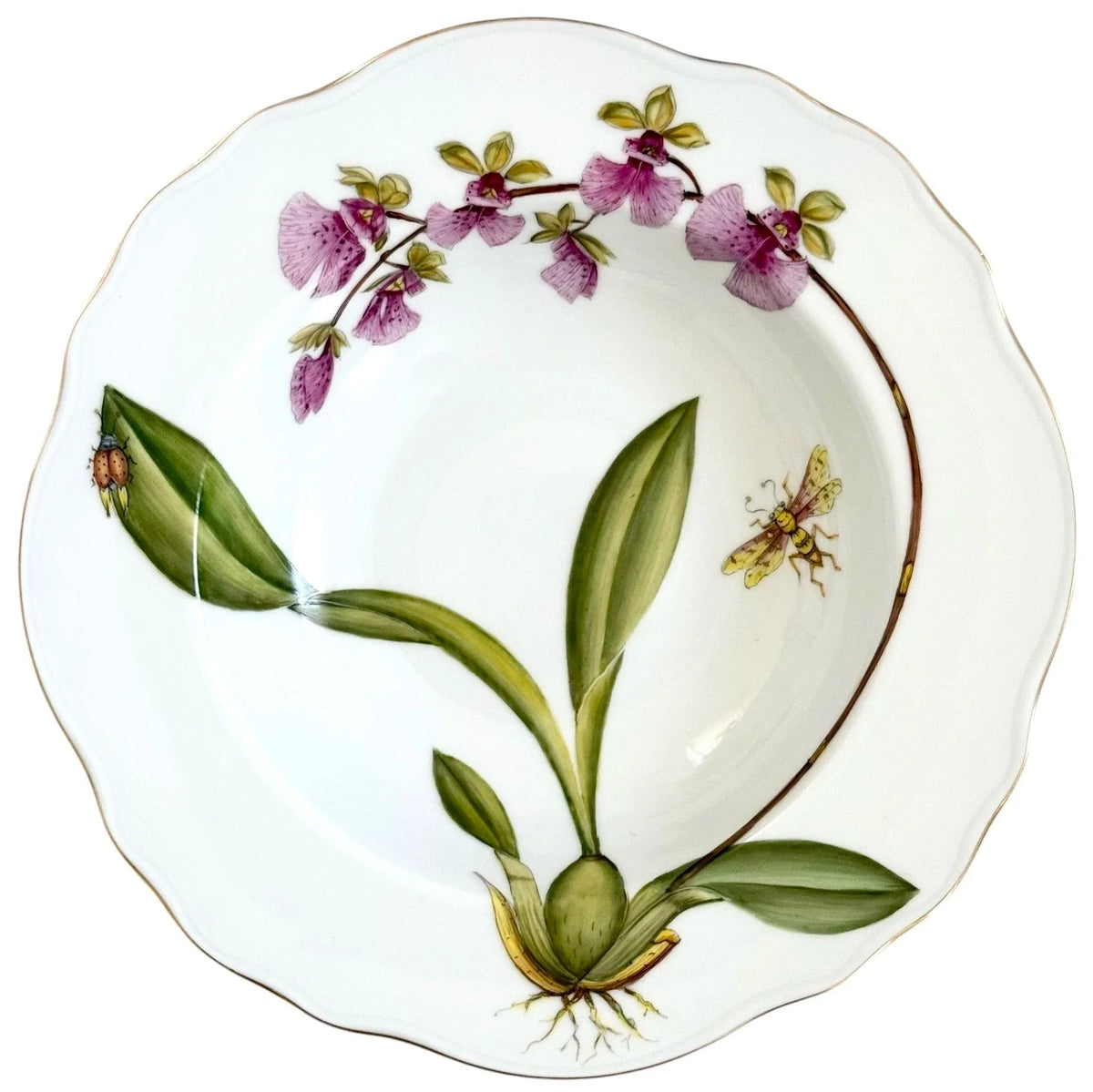 OR6R - Soup/Pasta Plate