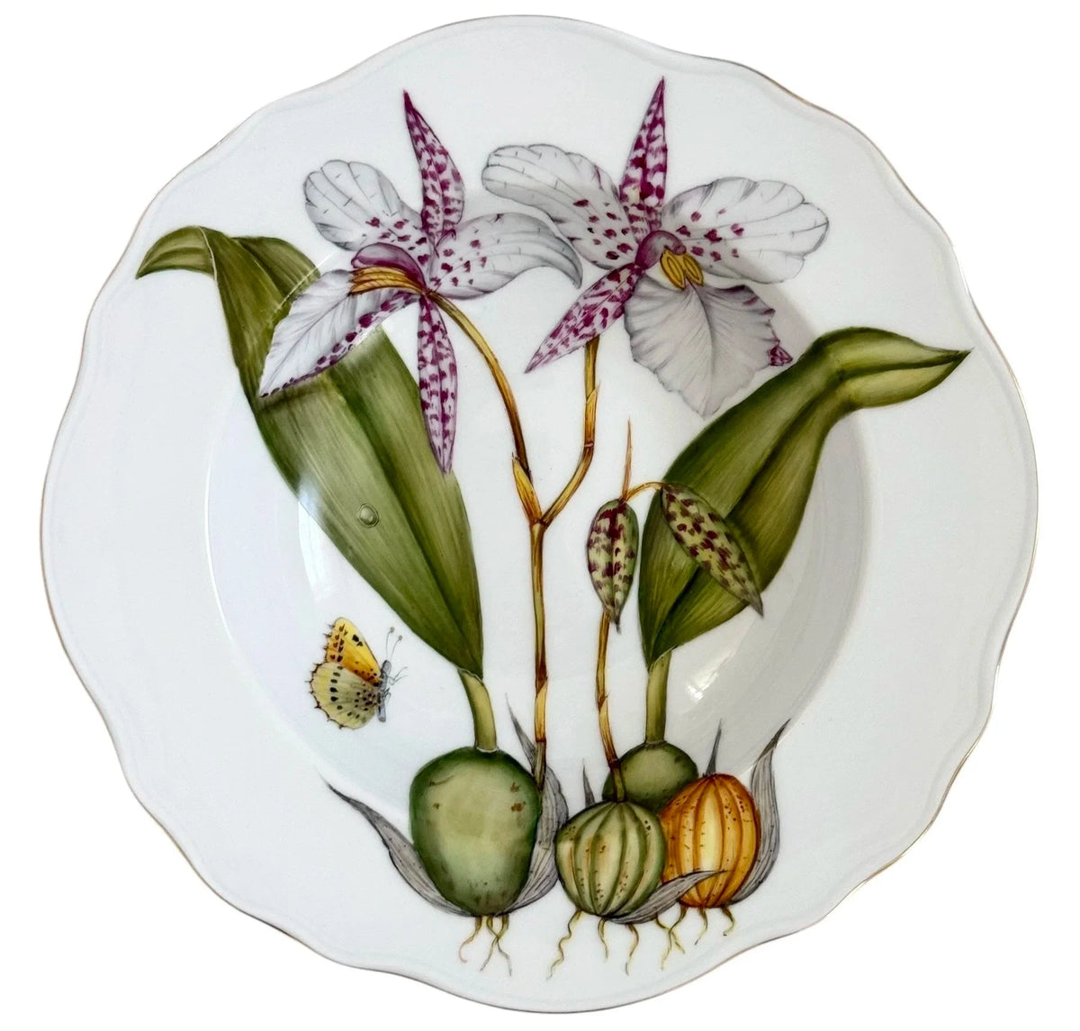 OR2R - Soup/Pasta Plate