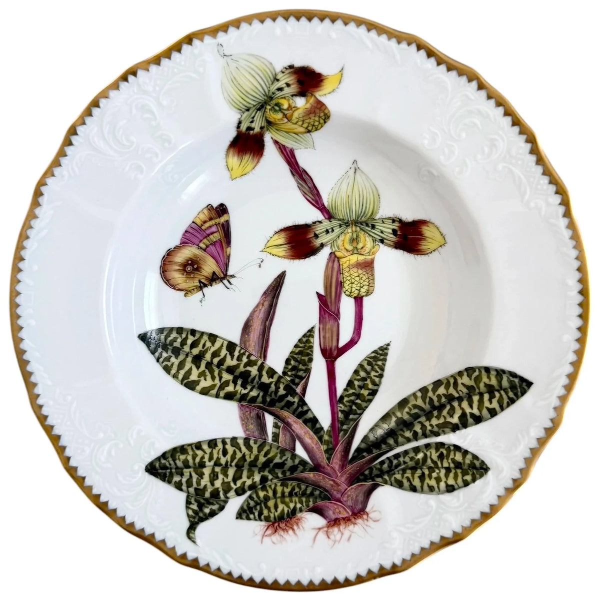 OR5 - Soup/Pasta Plate