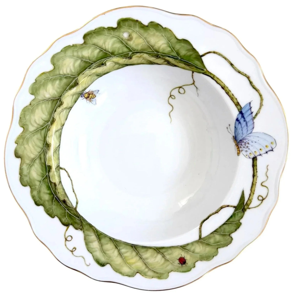 ATP1M - Soup/Pasta Plate