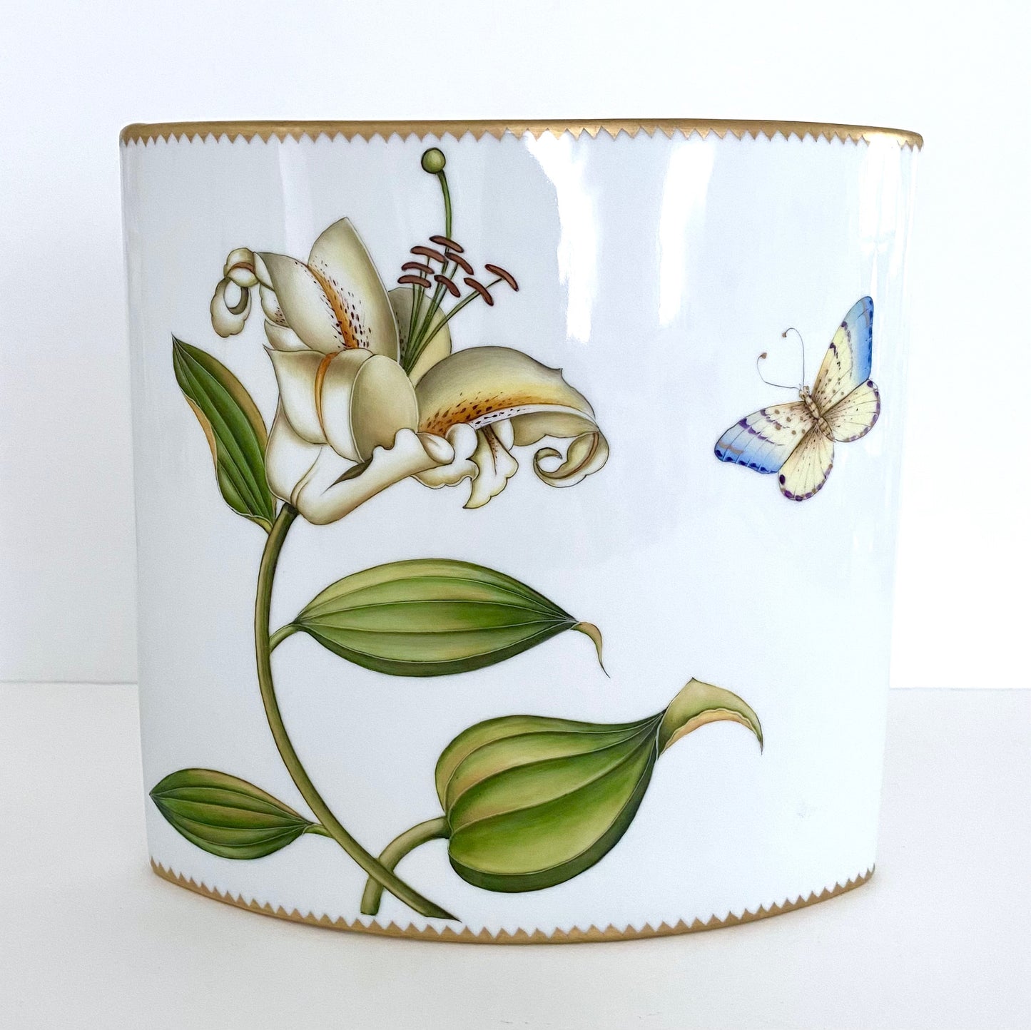 AD78 - Hand Painted Porcelain Vase