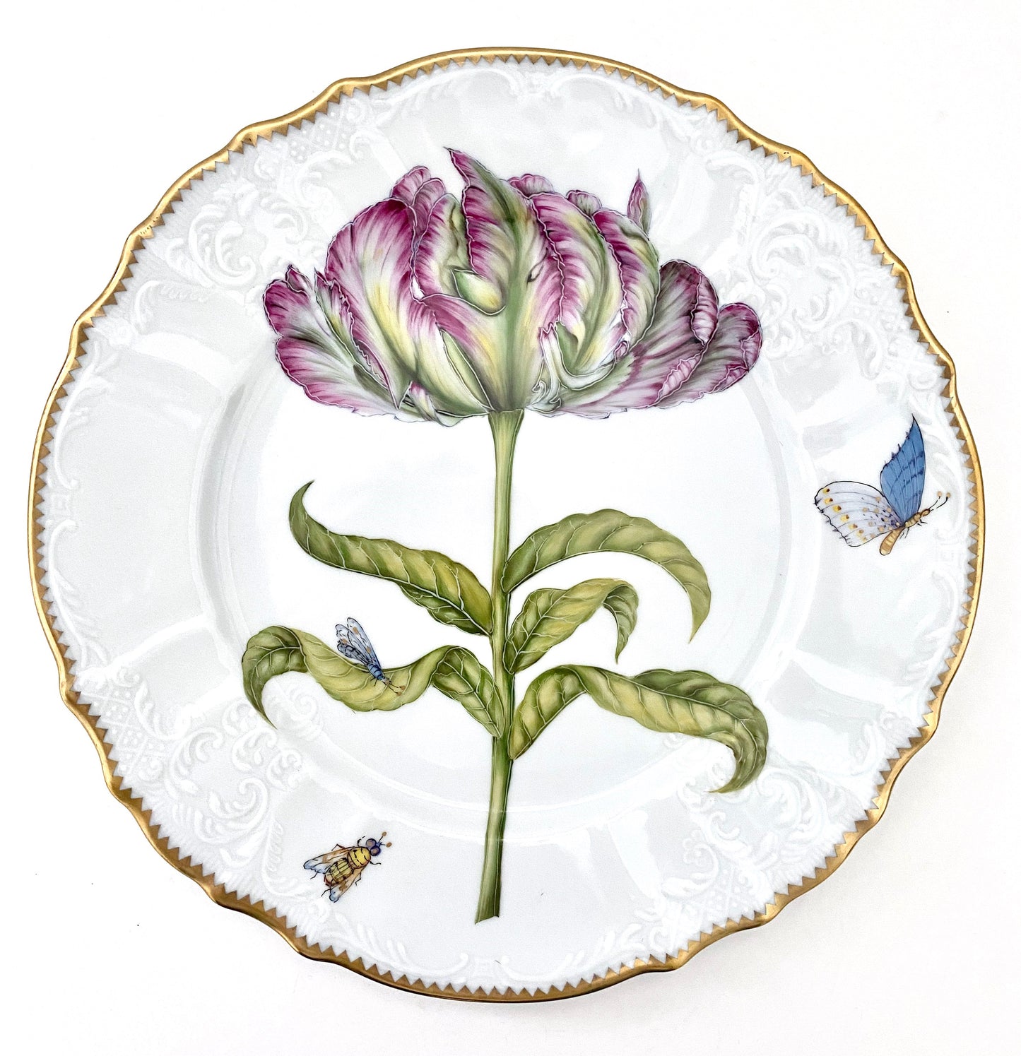 PTF1 - Dinner Plate