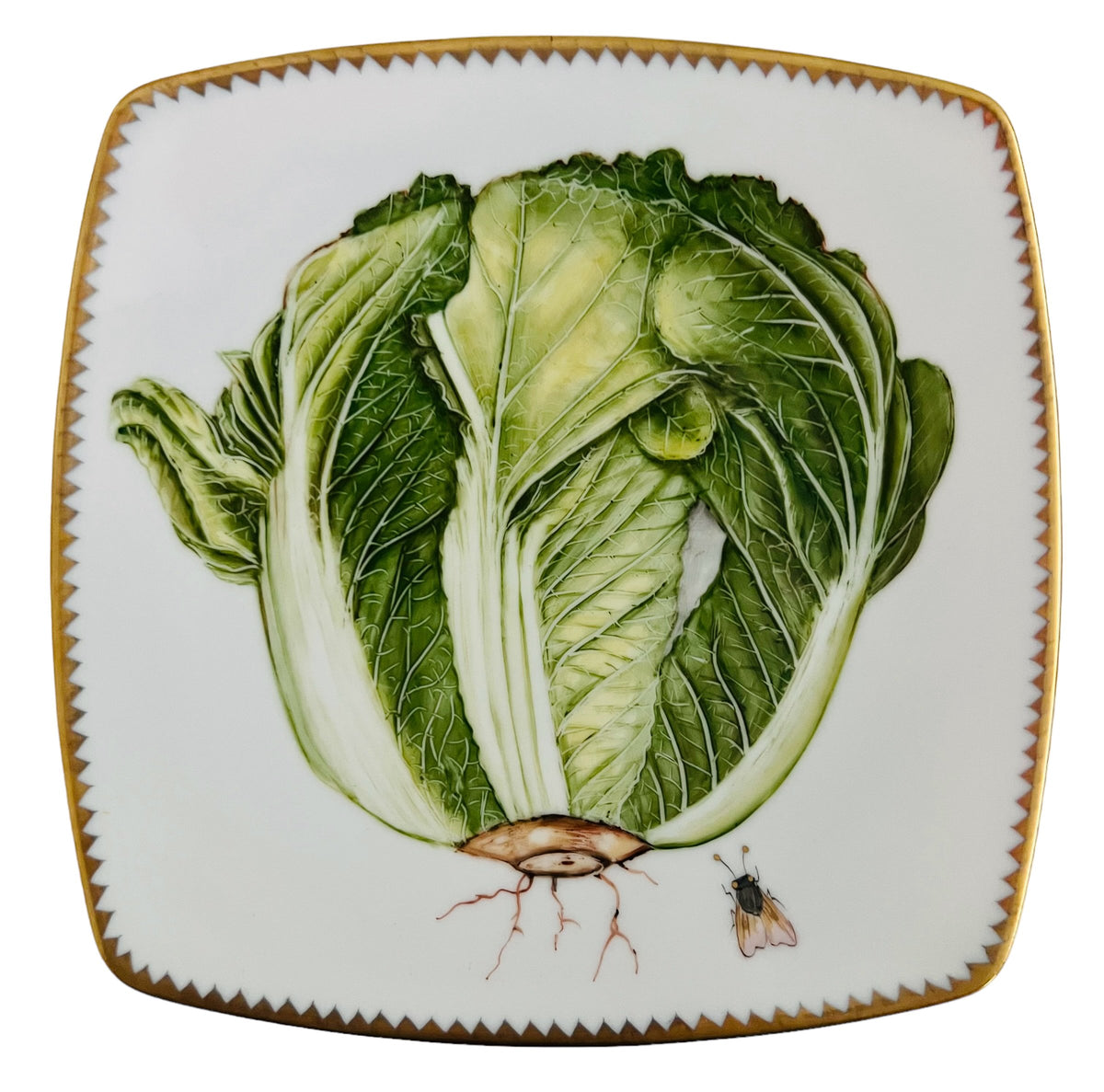 VG5 - Salad/Dessert/Luncheon Plate