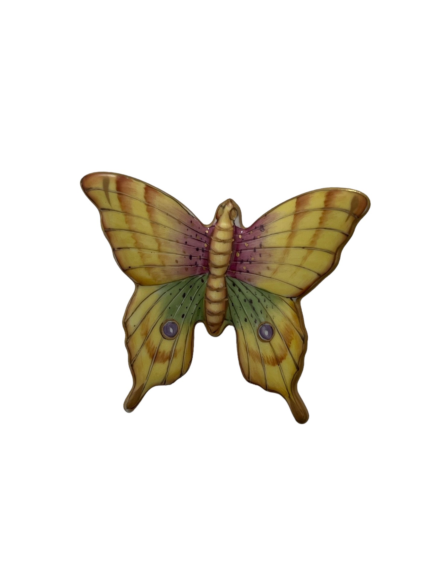 H25 - Butterfly