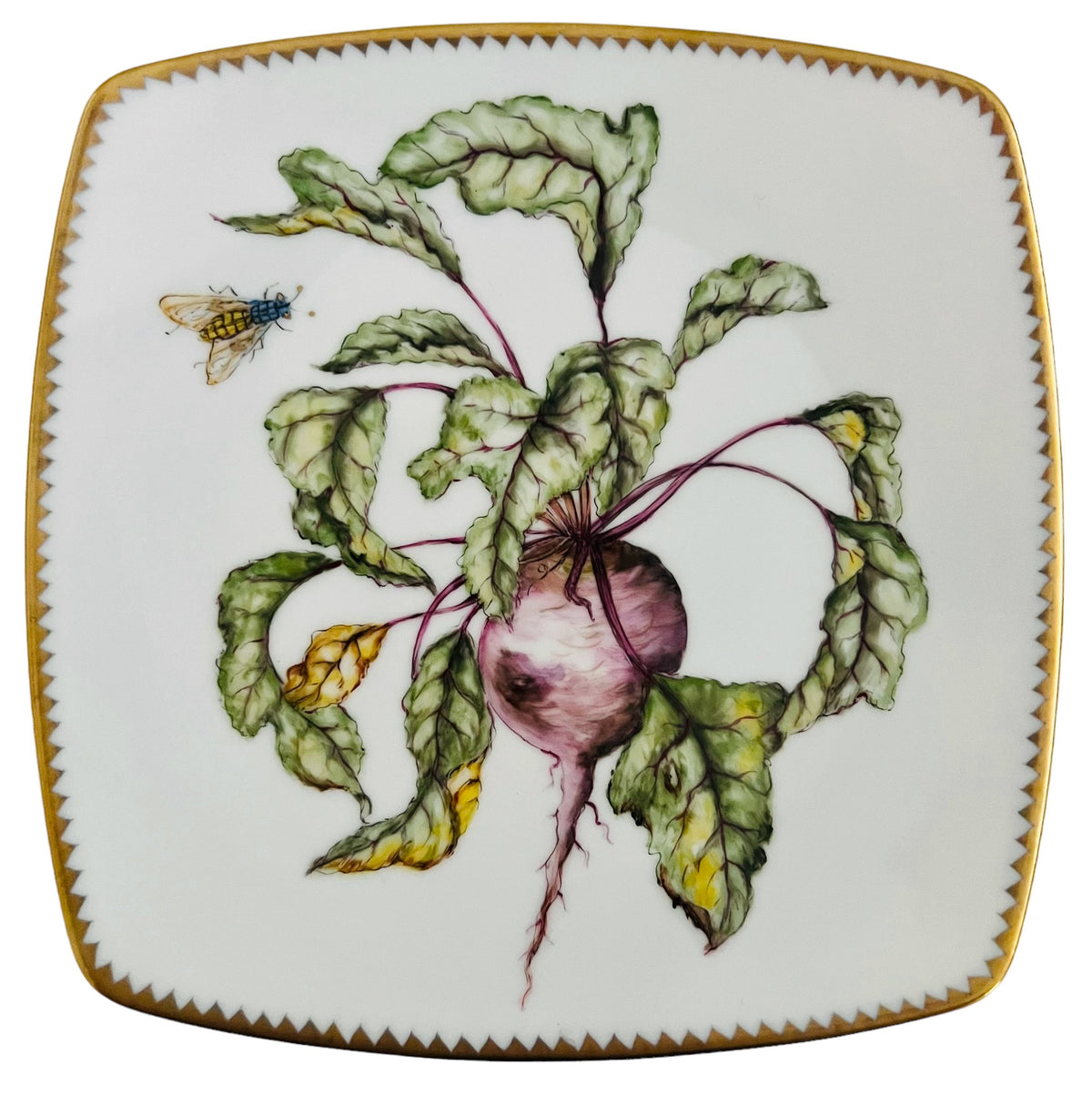 VG1 - Salad/Dessert/Luncheon Plate