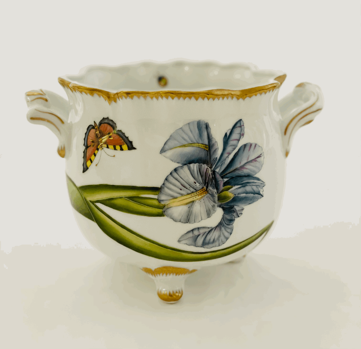 BM6 - Iris Flower Ruffled Cachepot