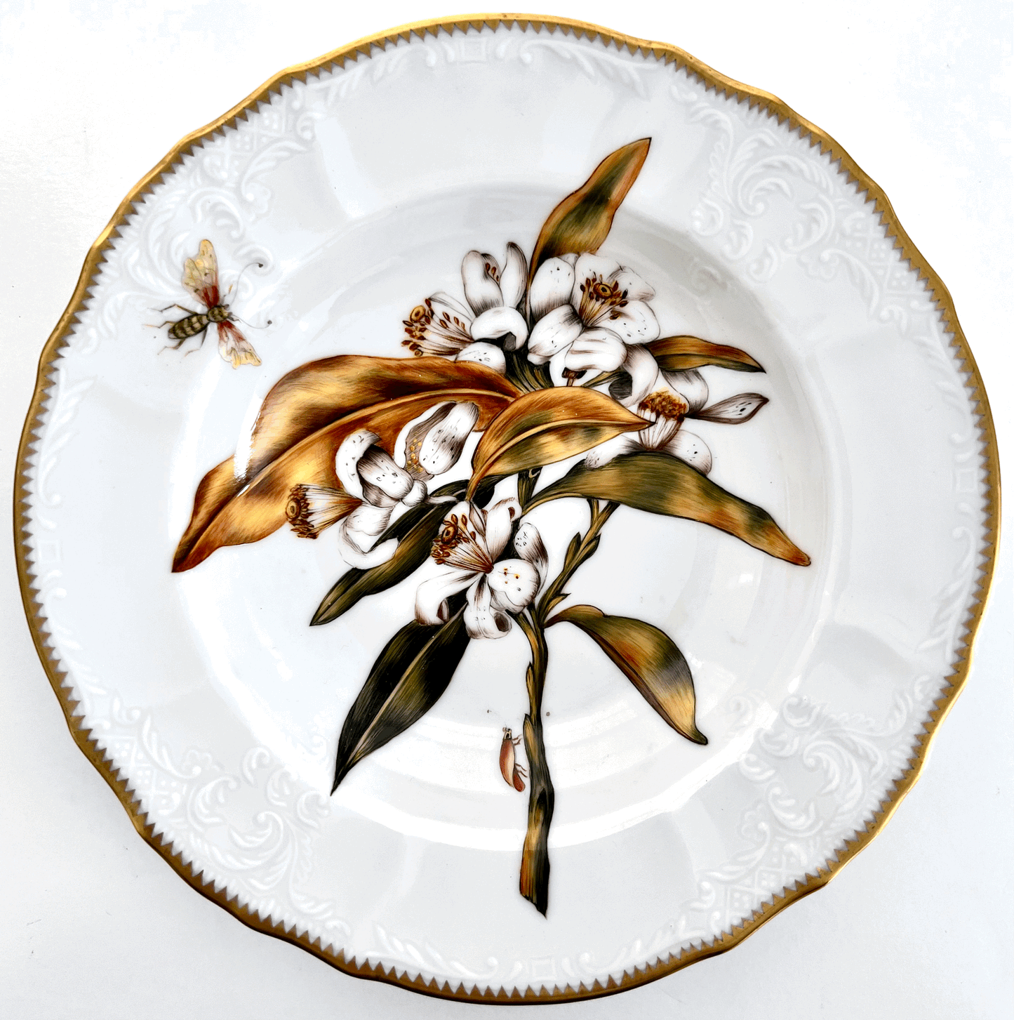 613 - Soup/Pasta Plate