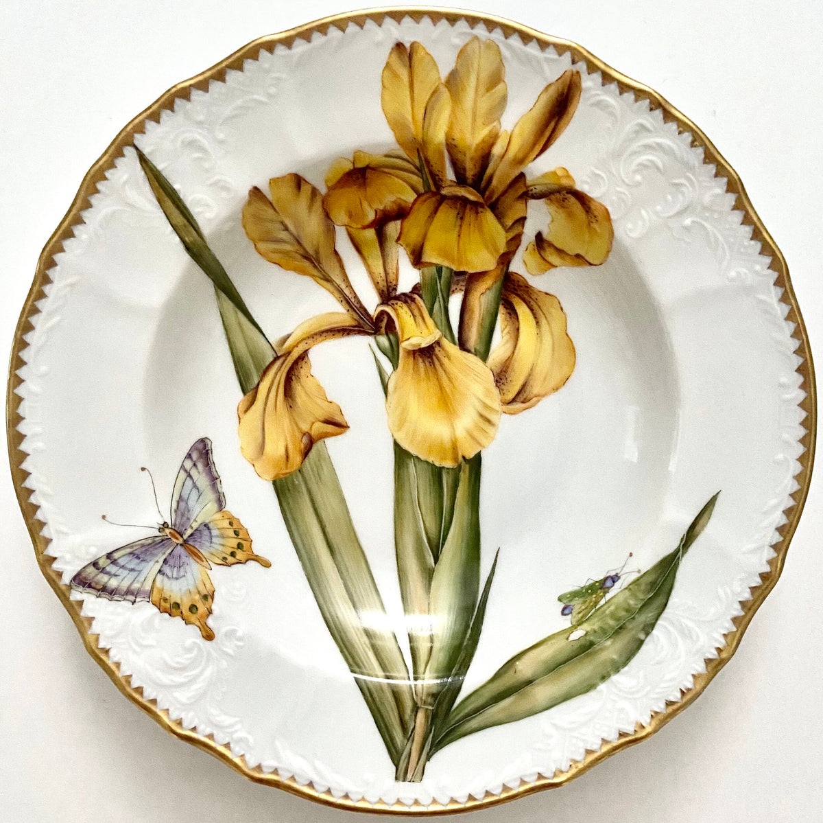 TX100 - Botanical Art Soup/Pasta Plate