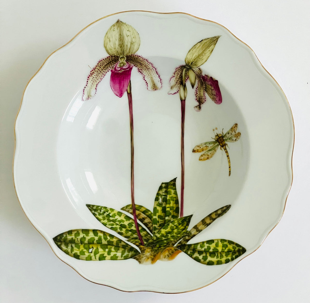OR3R -  Soup/Pasta Plate