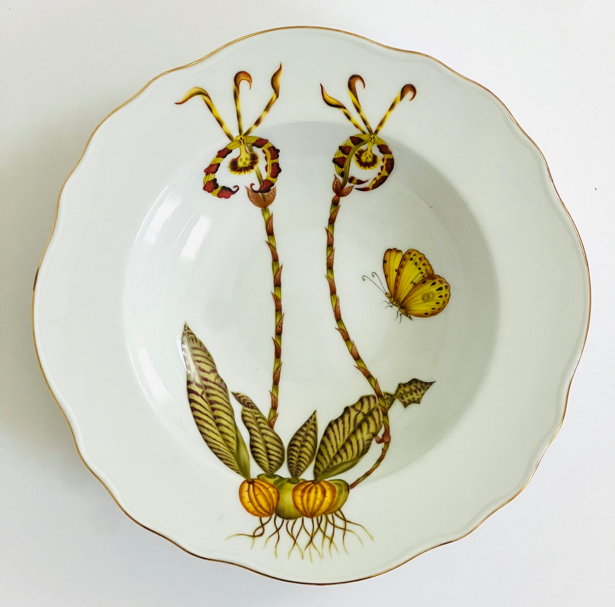 OR1R -  Soup/Pasta Plate