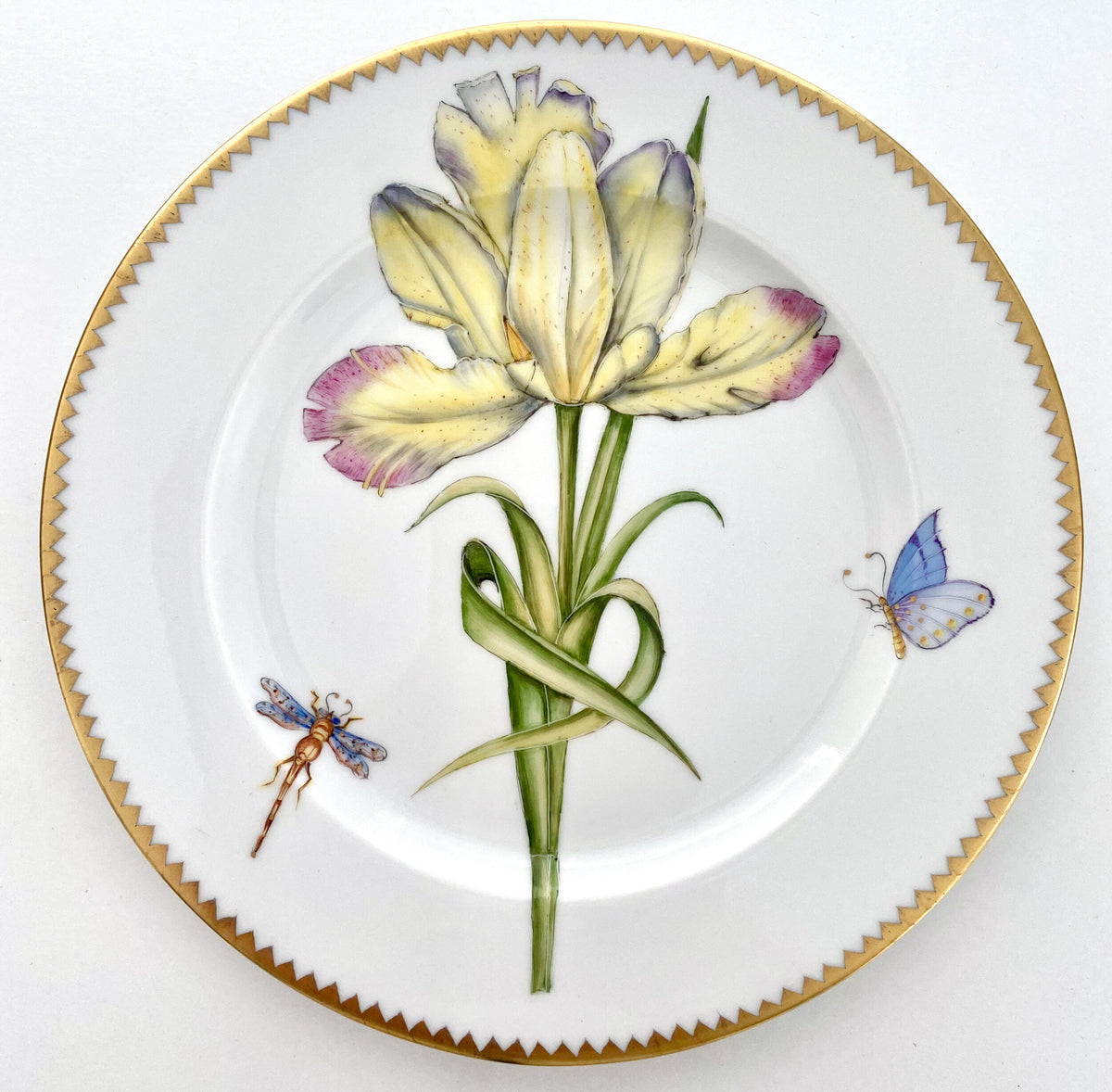 BP9 - Salad/Dessert Plate