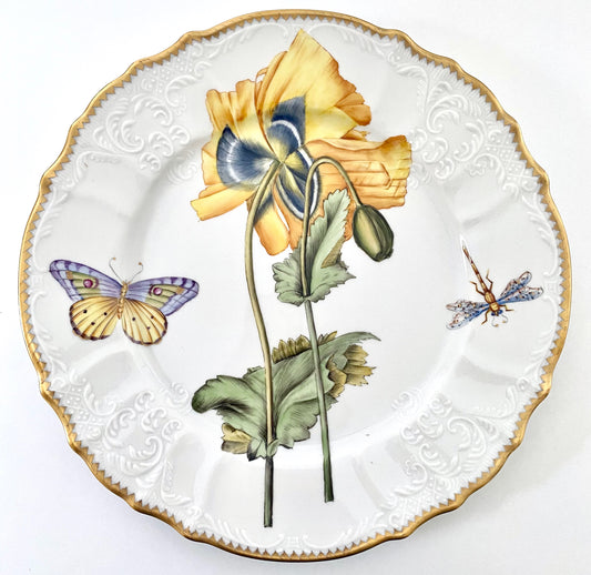 BS4 - Dinner Plate