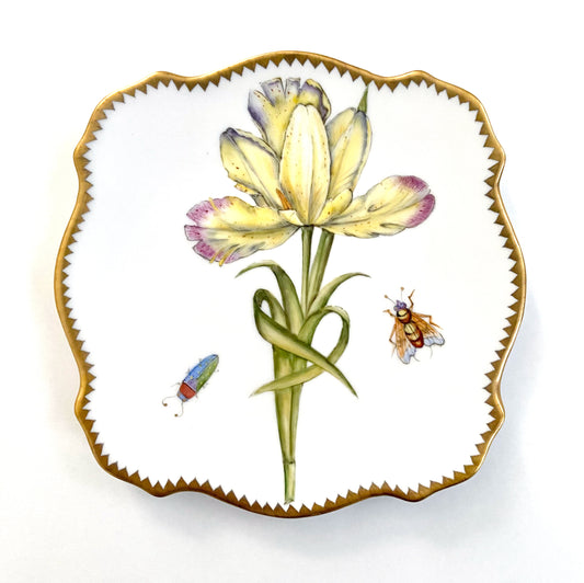 YT1 - Dessert/Bread&Butter/Appetizer Plate