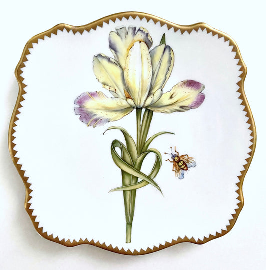YT1 - Dessert/Bread&Butter/Appetizer Plate