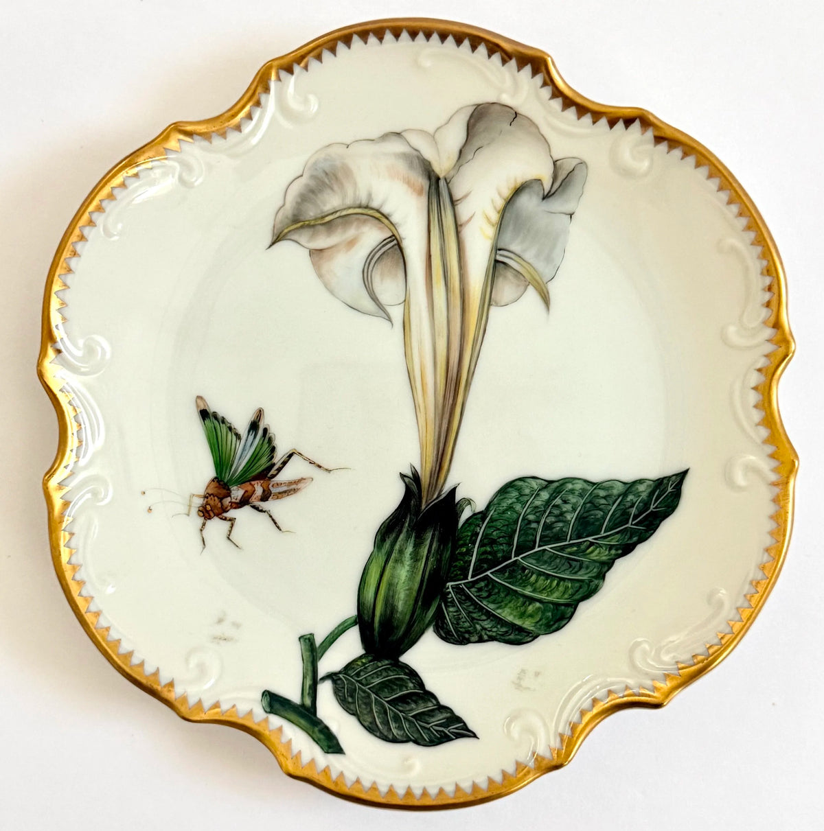 00 - Appetizer/Bread and Butter Plate